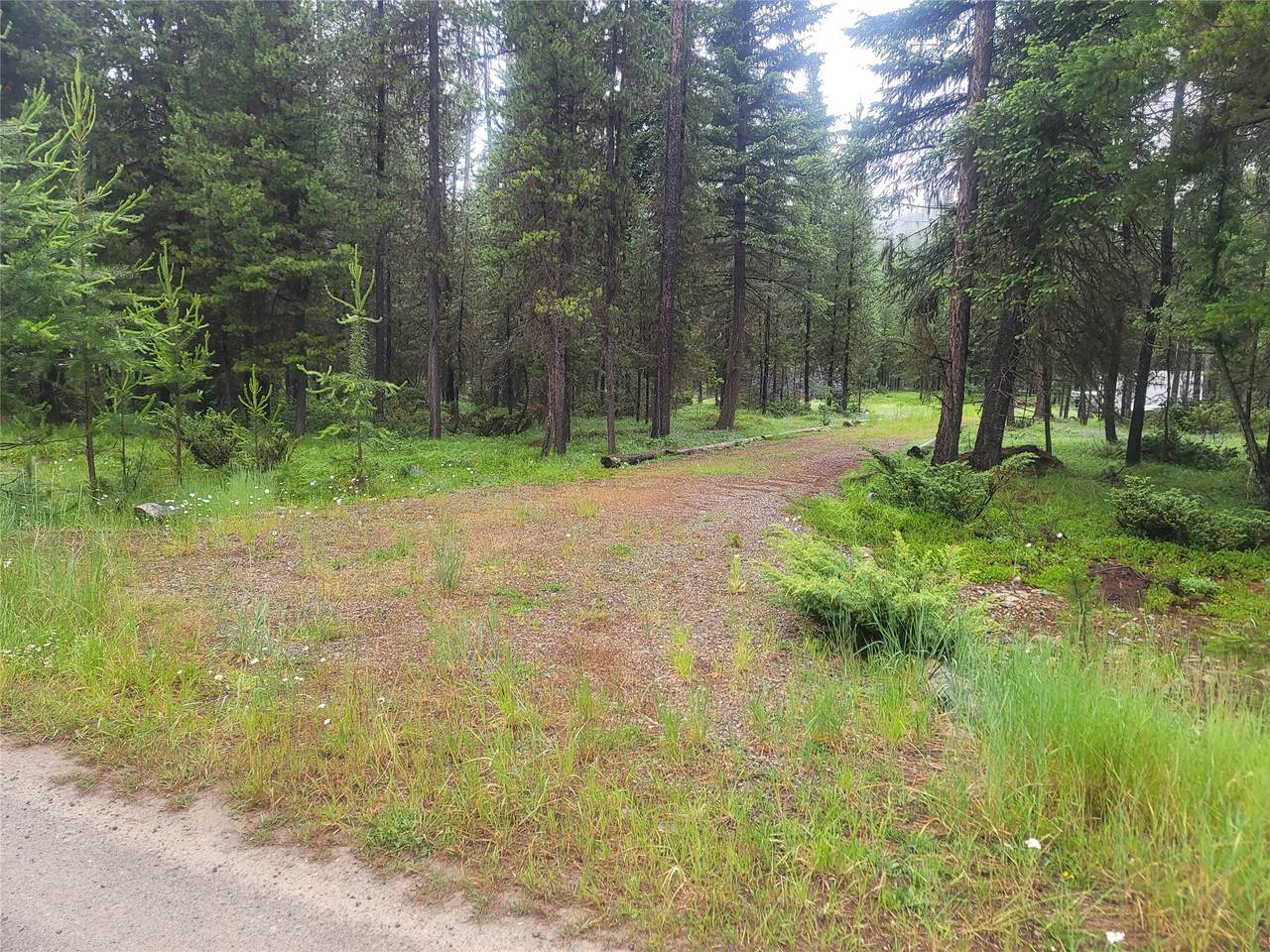 104 Lone Wolf Trail - Photo 1