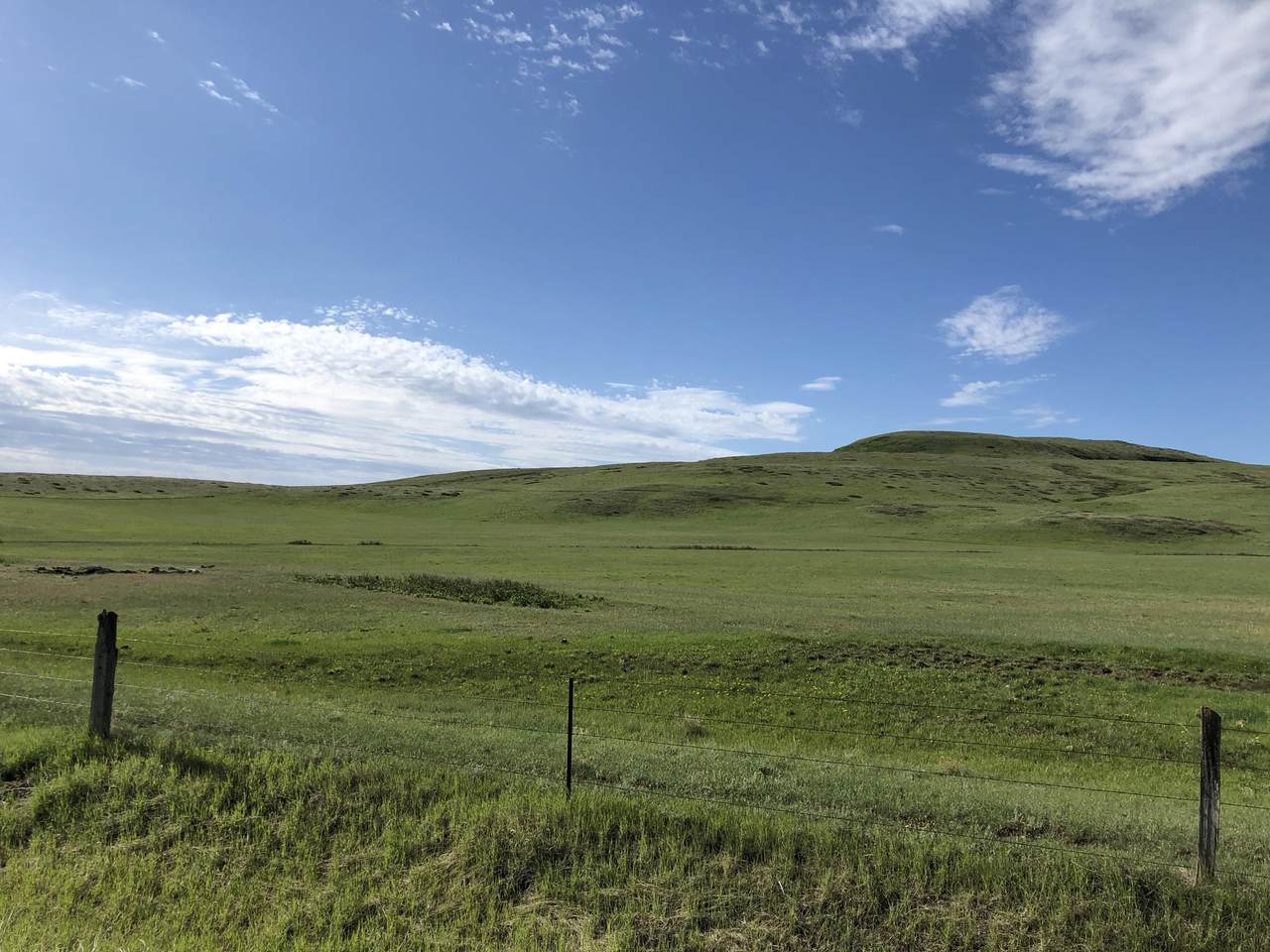 Tbd Wilson Butte Road - Photo 1