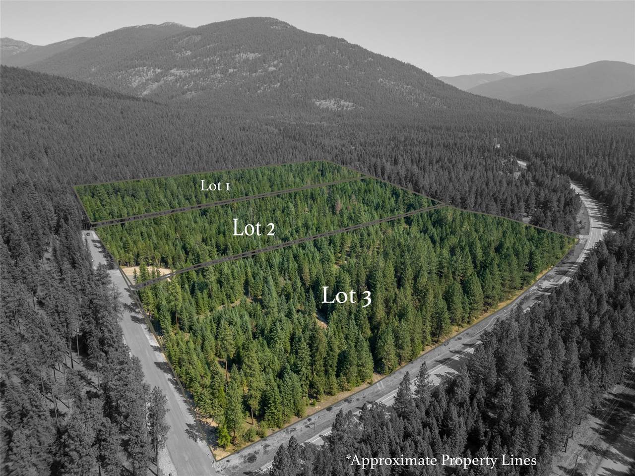 50 Hines Road - Photo 1