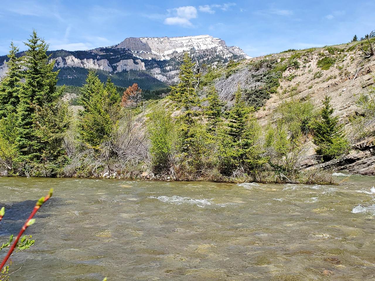 5436 Dearborn Canyon Road - Photo 1