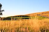 303 Heron Road - Photo 3