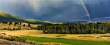 303 Heron Road - Photo 9