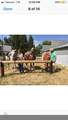 899 Three Mile Creek Road - Photo 11