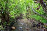 8925 Lavalle Creek Road - Photo 71
