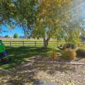 1235 Arrow Horse Lane - Photo 63