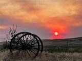 NHN Old Town Road - Photo 43