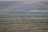 NHN Old Town Road - Photo 46