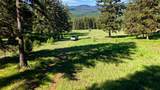 31200 Ninemile Road - Photo 24