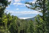 205 Muley Road - Photo 21