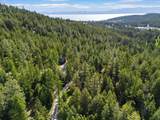205 Muley Road - Photo 26