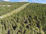 205 Muley Road - Photo 60