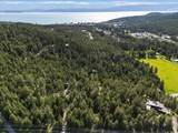 205 Muley Road - Photo 65