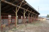 981 Cora Creek Road - Photo 22