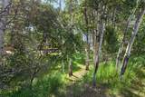 1139 Aspen Lane - Photo 64