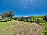661 Dovetail Valentine Road - Photo 97