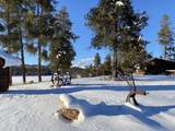 12455 Placid Lake Road - Photo 9