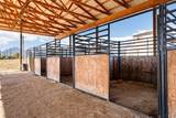 224 Rusty Spur Way - Photo 30