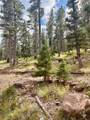 4535 Little Wolf Creek Road - Photo 3