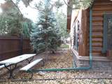 2510 Bobcat Way - Photo 104