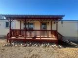 11800 Johanna Drive - Photo 9