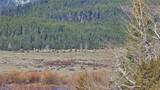3725 Stonewall Creek Road - Photo 48