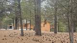 3725 Stonewall Creek Road - Photo 5