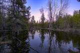 NHN Stoner Lake Road - Photo 14