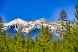NHN Stoner Lake Road - Photo 15