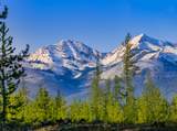 NHN Stoner Lake Road - Photo 17