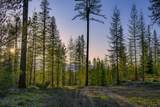 NHN Stoner Lake Road - Photo 19