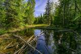 NHN Stoner Lake Road - Photo 20