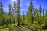 NHN Stoner Lake Road - Photo 24