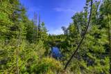 NHN Stoner Lake Road - Photo 25