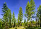 NHN Stoner Lake Road - Photo 26