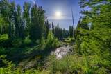 NHN Stoner Lake Road - Photo 30