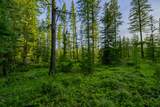 NHN Stoner Lake Road - Photo 33