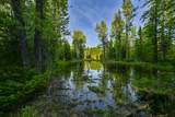 NHN Stoner Lake Road - Photo 34