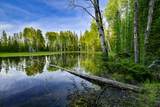 NHN Stoner Lake Road - Photo 35