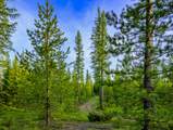 NHN Stoner Lake Road - Photo 36