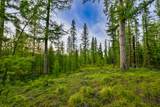 NHN Stoner Lake Road - Photo 37