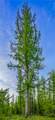NHN Stoner Lake Road - Photo 38