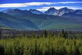 NHN Stoner Lake Road - Photo 4