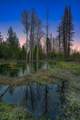 NHN Stoner Lake Road - Photo 40