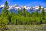 NHN Stoner Lake Road - Photo 9