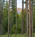 NHN Lindbergh Lake Road - Photo 10