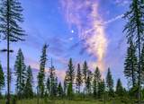 NHN Lindbergh Lake Road - Photo 11