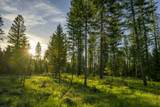 NHN Lindbergh Lake Road - Photo 13