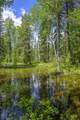 NHN Lindbergh Lake Road - Photo 14