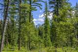 NHN Lindbergh Lake Road - Photo 15