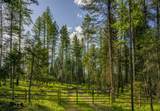 NHN Lindbergh Lake Road - Photo 16